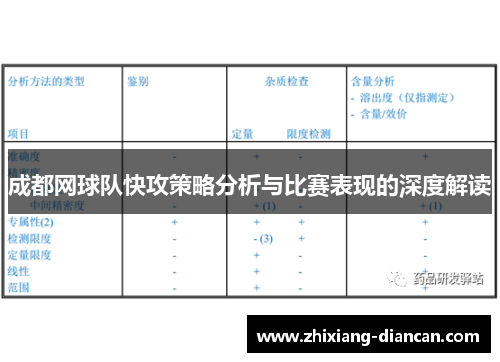 成都网球队快攻策略分析与比赛表现的深度解读