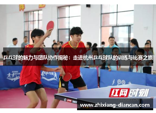 乒乓球的魅力与团队协作揭秘：走进杭州乒乓球队的训练与比赛之旅